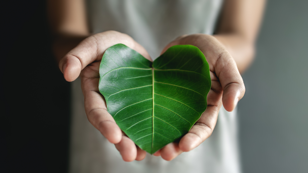 Algol Chemicals - Articles on Environmental sustainability